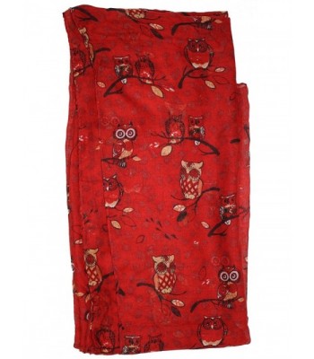 Ted Jack Wise Print Scarf in Fashion Scarves