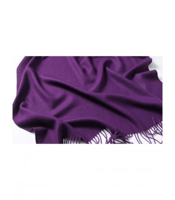 EBMORE Weight Bicycle Cashmere Purple