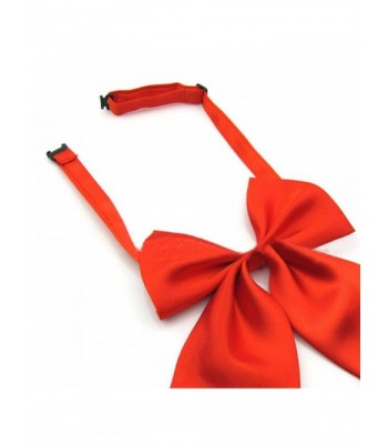 TopTie Women Pre Tied Bowknot Neckwear ROSERED in Fashion Scarves