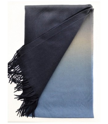 Libra Leo100 Hand Fashion Pashmina Gradient in Wraps & Pashminas