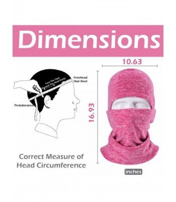 Triwonder Balaclava Thermal Fleece Warmer