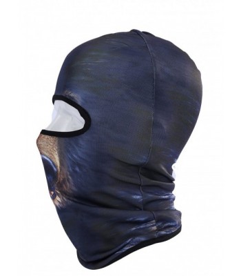 Ganway Outdoor Cycling Motorcycle Balaclava