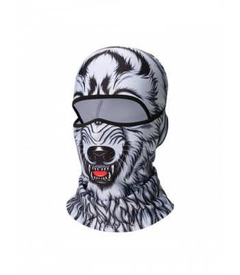 Balaclava Windproof Snowboarding Motorcycling Protection